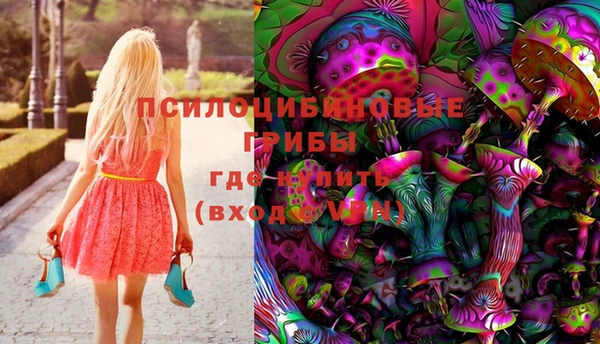 не бодяженный Абаза