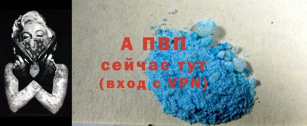 стаф Абинск