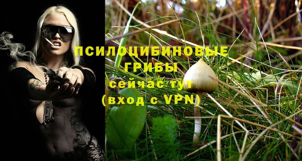 стаф Абинск