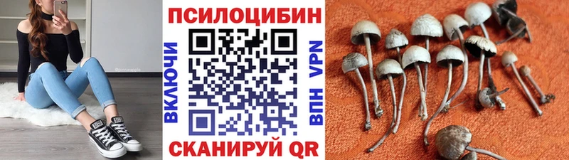Галлюциногенные грибы прущие грибы  Александровск 